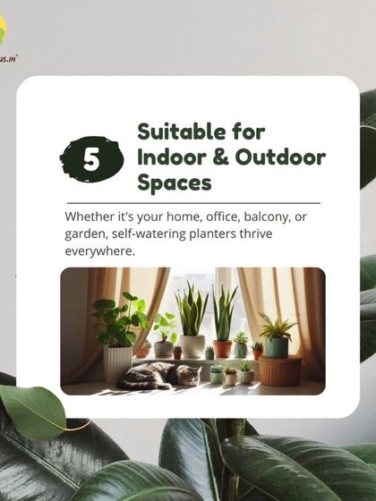 Treemendous - Interior & Exterior Plantscaping The Magic of Self-Watering Planters photo 8