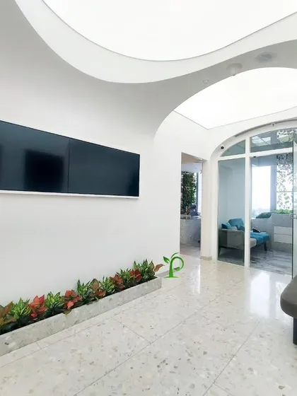 In this minimalist office reception, a long concrete planter filled with vibrant red Aglaonema provides a stunning pop of color. This setup creates a warm and welcoming first impression for visitors and employees.