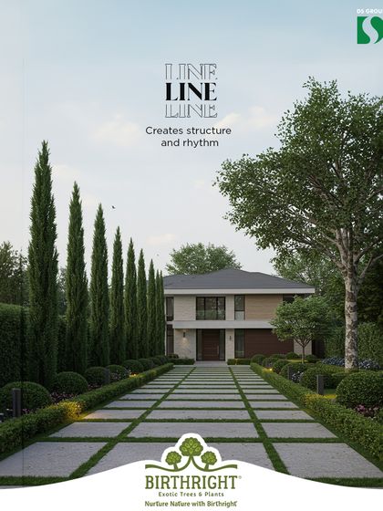 Line creates structure and rhythm in a landscape. The strong, clean lines of the pathway and the vertical repetition of the cypress trees guide the eye toward the house, creating a formal and grand approach.