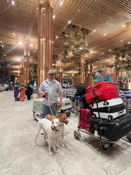 Ready for the big flight to Los Angeles. Here are Liam and Zoe with their owner at the Bangalore airport, along with their luggage and IATA-approved travel crates, all set for their journey to a new life in the USA.