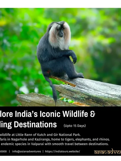 This poster promotes our comprehensive 15-day tour of India's iconic wildlife destinations, including top birding spots like the Little Rann of Kutch and Valparai, home to endemic species like the Lion-tailed Macaque.