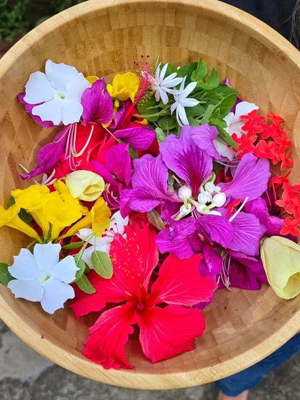 It is always fun to pluck flowers from the home garden for Navratri Pooja. A bowl full of colorful hibiscus, jasmine, and other beautiful blooms.
