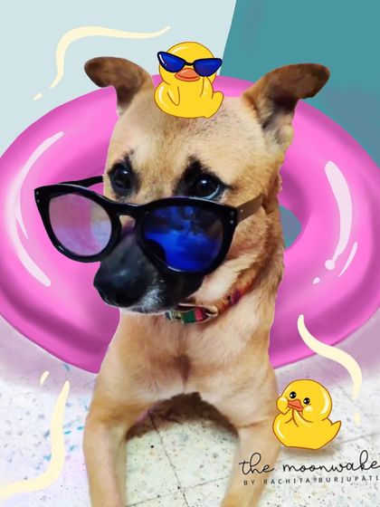 Rachita Burjupati - Custom Portraits & Illustrations Custom Pet Portraits photo 22