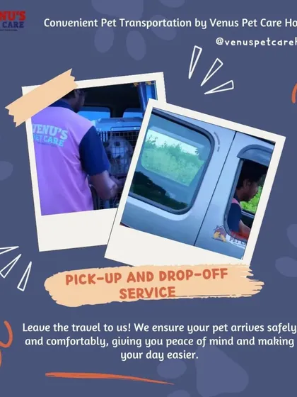 Your convenience is important to me. I offer a safe and comfortable pick-up and drop-off service in an AC van, so your pet's journey to their grooming or boarding session is completely stress-free.