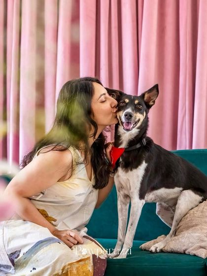 Pawparazzi By Prathima - Pet Milestone Photography Studio & Themed Mini-Sessions photo 10