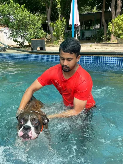 Look at the calm expression on this Boxer's face. While the initial moments can be new, dogs quickly learn to enjoy the soothing and supportive feeling of the water.