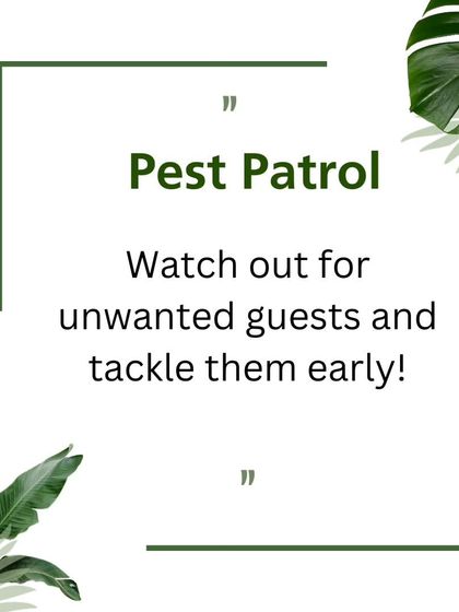 Expert Gardening Tips photo 3