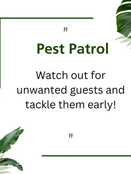 A healthy garden requires vigilance. This tip emphasizes the importance of pest patrol: watch out for unwanted guests and tackle them early before they can cause significant damage.