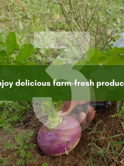 The final and most rewarding step. After planting and nurturing your crops with our help, you get to enjoy delicious, farm-fresh produce that you've grown yourself.