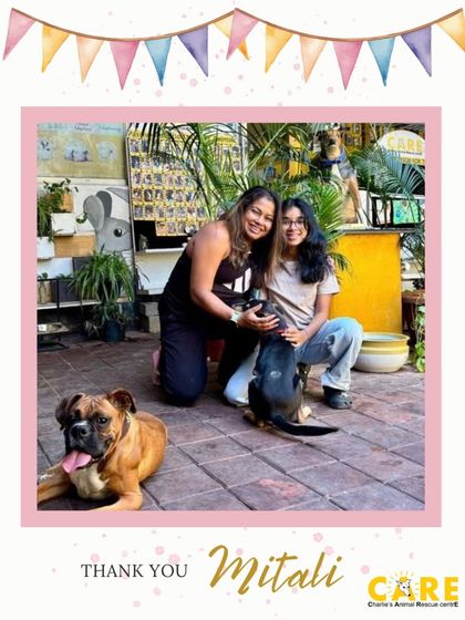 Charlie's Animal Rescue Centre - Community Outreach & Education Community Fundraising Events photo 35