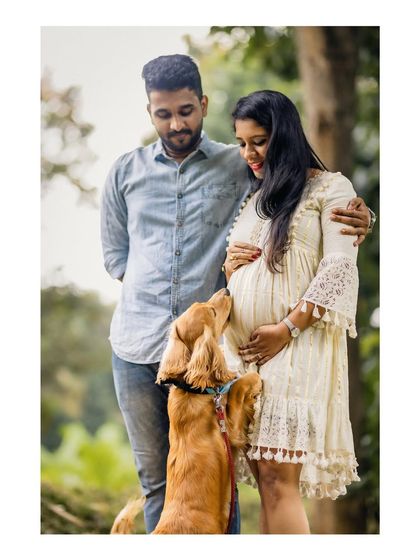 A sweet moment where the family dog affectionately nudges the mother's baby bump, as the father-to-be looks on with a smile.