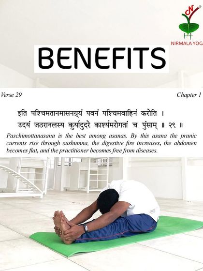 Nirmala Yoga - Yoga Therapy for Health Conditions Yoga for Digestion & Metabolism photo 9