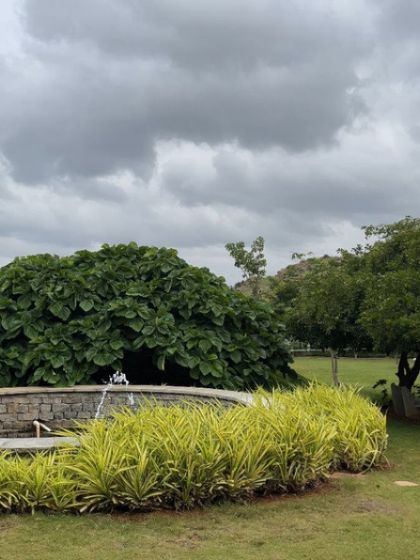 A guest's photo of the garden fountain. We love seeing the retreat through our guests' eyes, capturing the peace they find here.