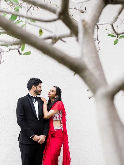 A romantic portrait of a couple in formal attire, framed by the branches of a tree. This artistic composition adds a natural and soft element to the elegant shot.