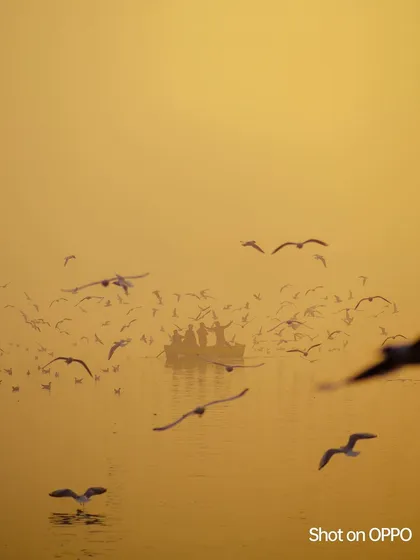 A boat full of people is surrounded by a flock of migratory birds on the Yamuna during winter. The golden, hazy light gives the entire scene a magical feel.