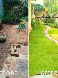Landscape Design & Installation
