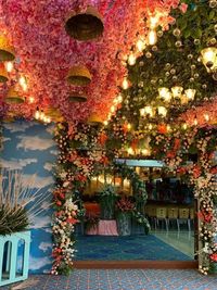 Family Celebration Decor