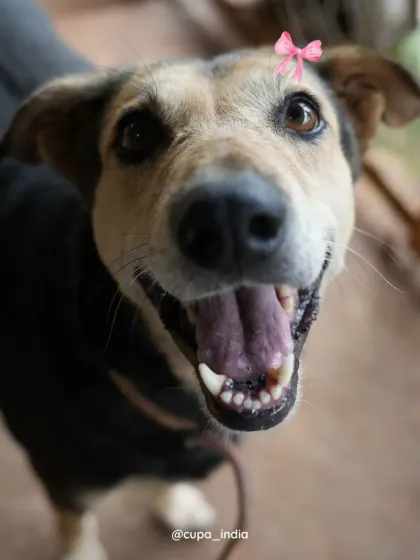 This is the smile of Lakhan, one of our beloved senior residents. He's a gentle soul looking for someone to sponsor his golden years at our Geriatric Centre. Your support provides him with food, medical care, and endless affection.