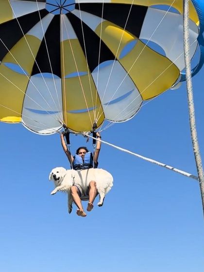 Deepthi - Dog Travel & Adventure Coaching Extreme Adventures: Pushing Boundaries Safely photo 4