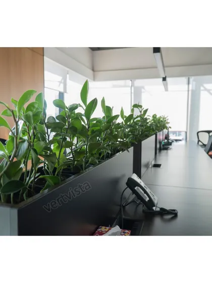 Even small interventions can have a big impact on workplace wellness. We designed these sleek, integrated desk planters to bring a touch of green directly to the workspace, boosting employee productivity and morale with low-maintenance Peperomia plants.