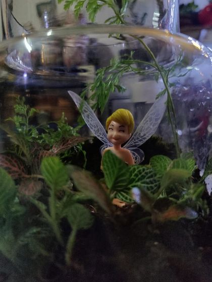 Bring a touch of magic to your creation. This close-up shows a fairy figurine tucked among the ferns and fittonia, showcasing how you can personalize your terrarium to reflect your own style.