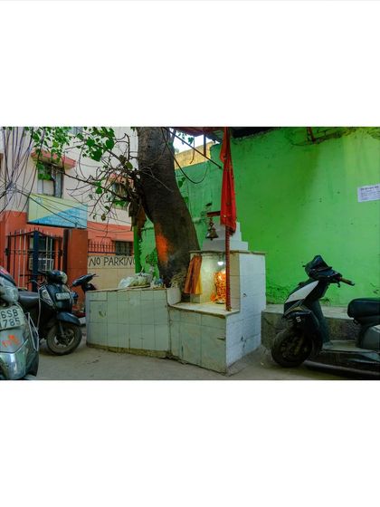 A small, makeshift Hindu shrine built around a tree on a Delhi street corner, nestled between parked scooters. It's a perfect example of how faith is integrated into the urban landscape.