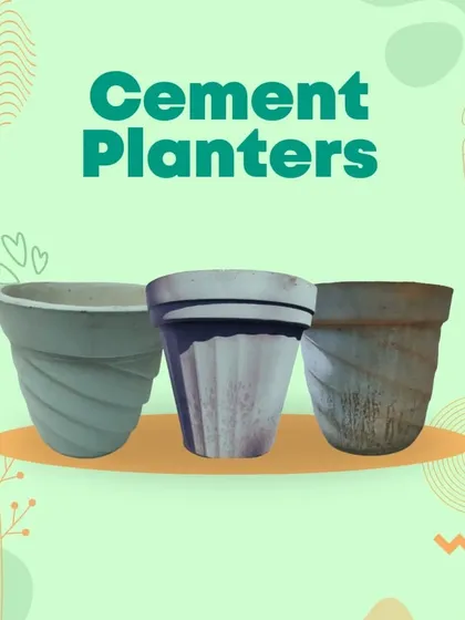 Our cement planters offer a modern, industrial look for your plants. They are available in various shapes and sizes to suit your decor.