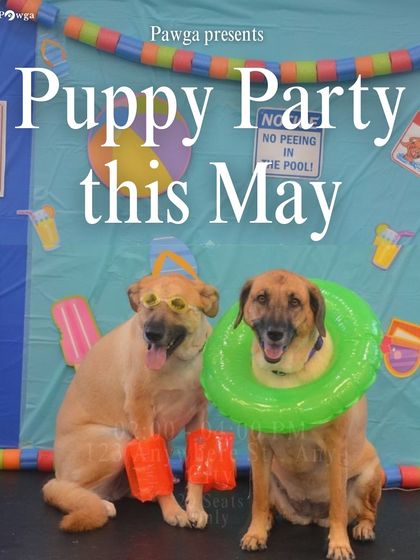 Did someone say summer party? Here's our May calendar, full of fun events to help you beat the heat with puppy cuddles.