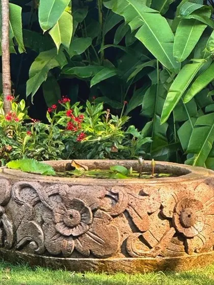 From a client's lovely vacation home in Nashik. Our large, 100cm 'Lovina' lavastone planter, with its detailed floral carvings, has been turned into a miniature water lily pond.