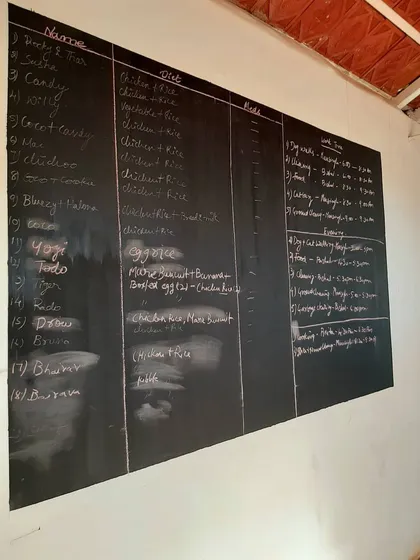 A quick look at our daily command center. Every pet has a personalized plan, from their specific diet to their daily schedule and any special needs. We believe this level of detail is essential for providing the best possible care.