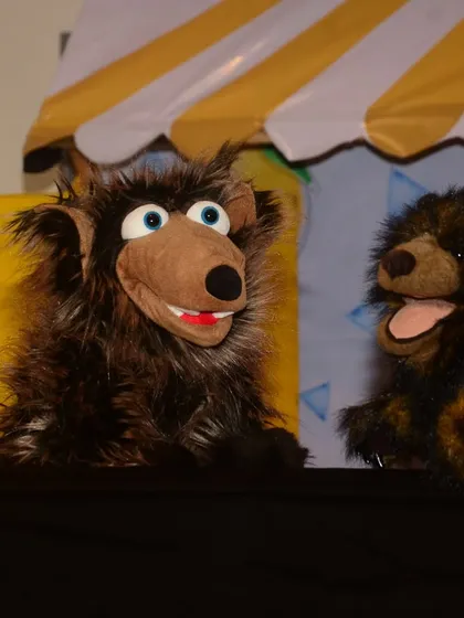 Meet some of my furry co-stars. Each puppet has a distinct personality, and their playful arguments and conversations are a huge part of my shows. They aren't just props; they are the heart of the story.