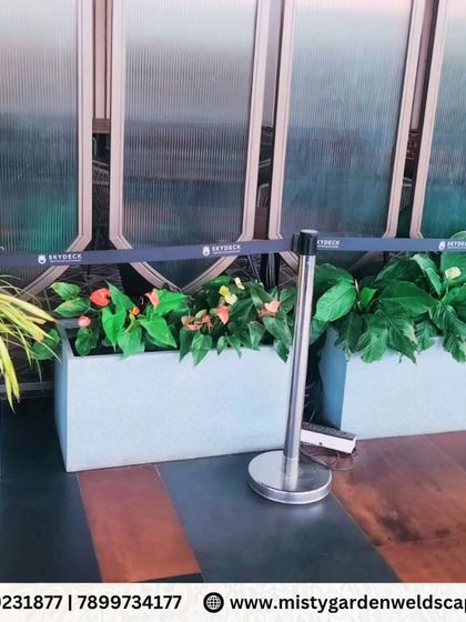 We use modern, clean planters to house a variety of plants, creating green dividers and decorative elements in this commercial space.