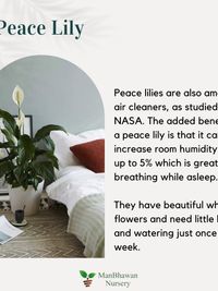 Plant & Gardening Supply Sales