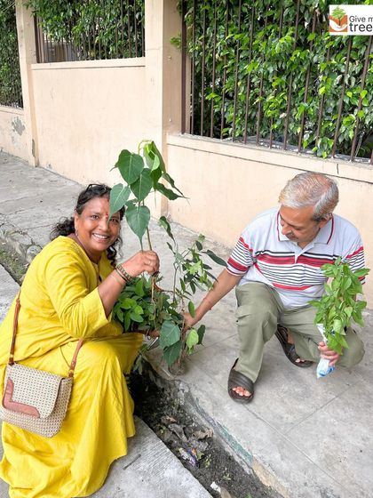 A successful collection drive at Ramprastha Greens, Vaishali. A smiling volunteer donates Peepal and other saplings, contributing directly to our nursery and future plantation projects.