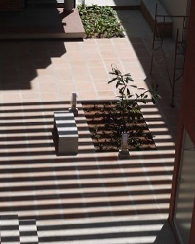 Landscape Design