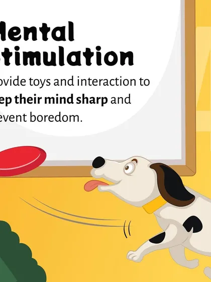 A bored pet is an unhappy pet. We prevent loneliness and anxiety by providing plenty of mental stimulation, including interactive toys and engaging playtime, to keep their minds sharp and spirits high.
