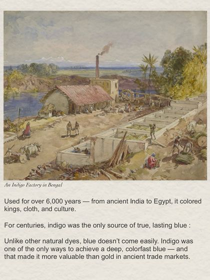 Used for over 6,000 years, indigo was one of the only ways to achieve a deep, colorfast blue. This historical painting shows an indigo factory in Bengal, part of the dye's long legacy.