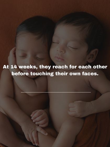 At 14 weeks in the womb, twins often reach for each other before touching their own faces. This portrait of them nestled together is a testament to that incredible, early bond.