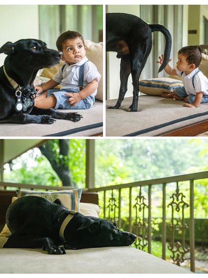 Pawparazzi By Prathima - Maternity & Newborn Photography with Pets Kids & Pups: Partners in Crime photo 26
