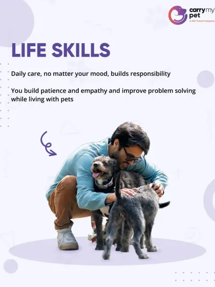 CarryMyPet - Pet Travel & Parenting Consultation The Heart of a Pet Parent photo 13