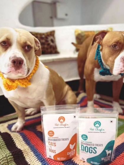 Tiana and Dora, two American Bullies, looking absolutely fabulous in their handcrafted bow ties while posing with their favorite treats. This is what we call the furry foodie life.