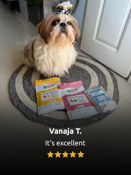Another "excellent" review from a stylish Shih Tzu. We're so happy to be a brand that pet parents trust.