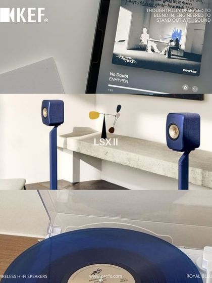 Pro FX - High-Fidelity (Hi-Fi) Audio Systems Product Showcase & Technical Details photo 97