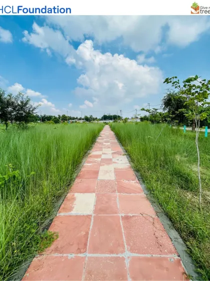 A pathway at our Harit Upvan site with HCL Foundation. We don't just plant trees; we design spaces where people can walk, connect with nature, and witness the growth firsthand.