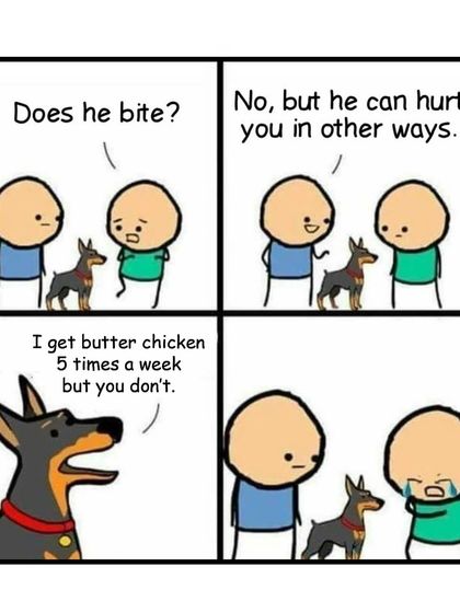 This doggo is bragging about getting butter chicken five times a week. Little does the other guy know, we have a safe and delicious version just for pets!