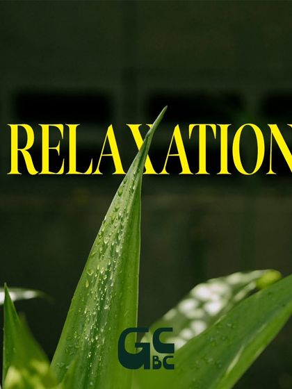 Relaxation in its purest form. The morning dew on a fresh green leaf captures the tranquil, natural essence of the space.