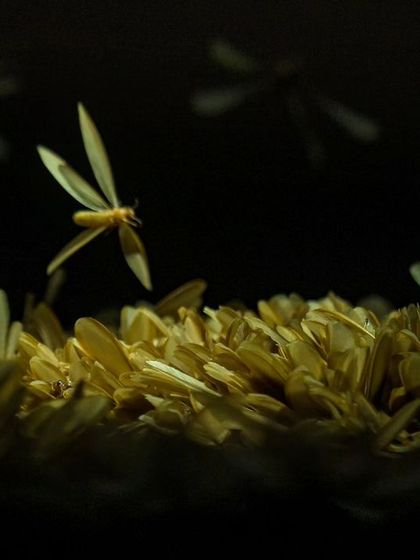 Another perspective on the termite swarm, showing the sheer density of the gathering.