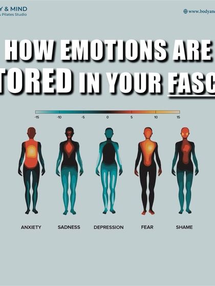 Body & Mind PhysioPilates Studio - Functional Nutrition Guidance The Mind-Body Connection photo 5