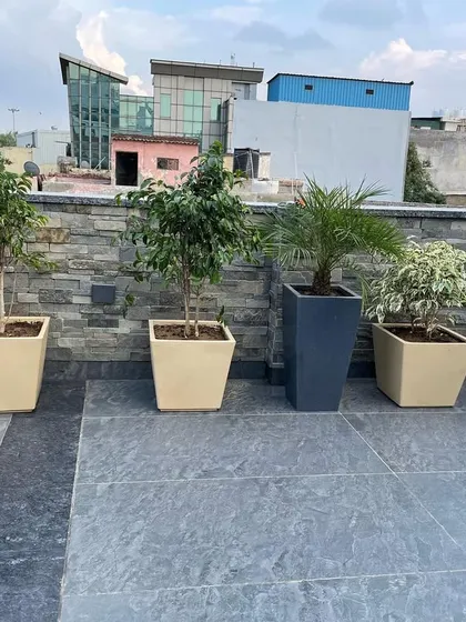 A simple and effective rooftop garden setup in Ashok Vihar. I used a mix of square planters in cream and dark grey to house various small trees and shrubs against a stone-clad wall.