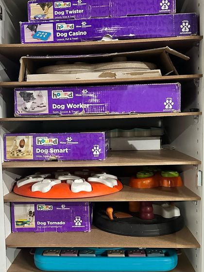 Deepthi - Canine Enrichment Services My Puzzle Library & Services photo 4